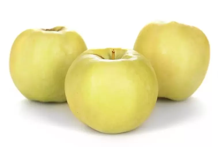 pommes pour le traitement des varices