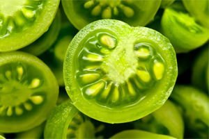Traitement des Varices de Tomates vertes