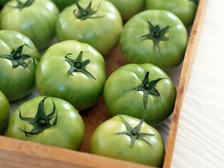 tomates vertes pour varices